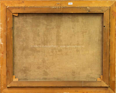  / Interiér lesa / František Daněk - Sedláček