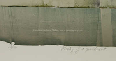  / Studie portrétu / Oldřich Kulhánek