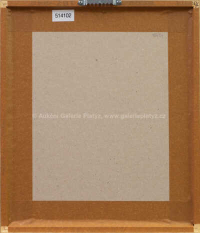  / Zasněná s hvězdami / Marie Čermínová - Toyen