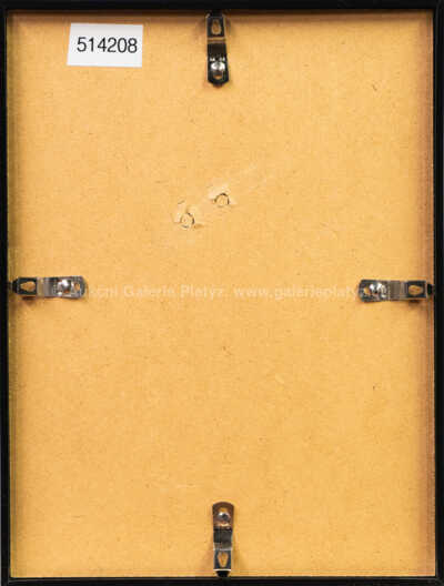  / Kamarádi / Adolf Born