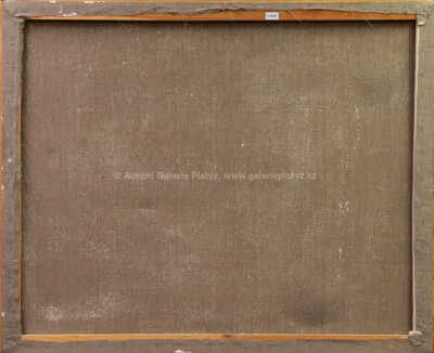  / Imaginární krajina / Zdena Höhmová