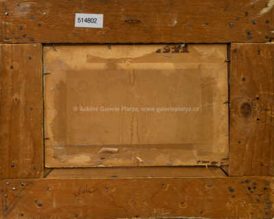  / Rozkvetlá louka / Stanislav Lolek