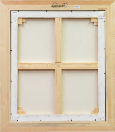  / Budoucnost EU / František Ringo Čech