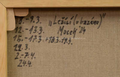  / U bazénu / Jiří Mocek