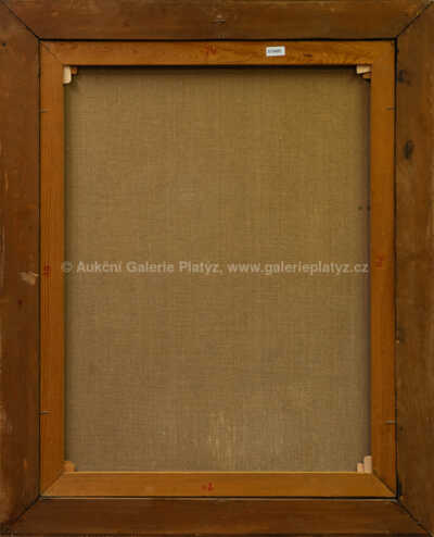  / Tváře / Karel Laštovka