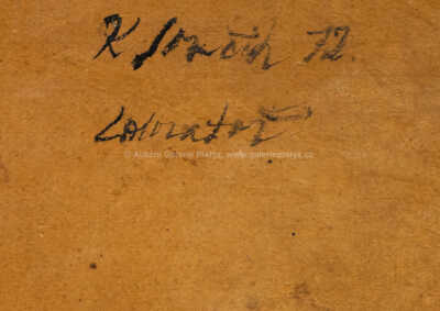  / Laboratoř / Karel Souček (Bor)