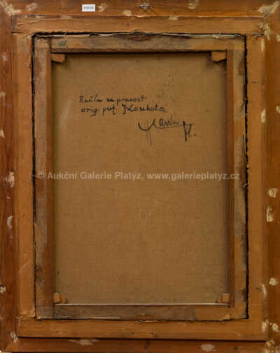  / Akt / Josef Loukota