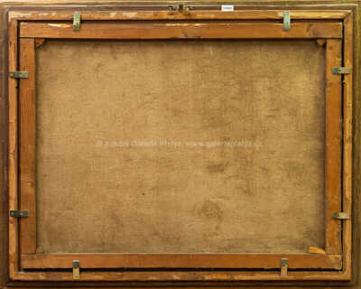  / Cesta v krajině / Jaroslav Panuška