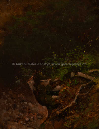  / Houština na stráni / A. B. Piepenhagen