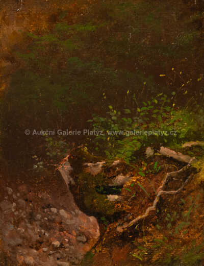  / Houština na stráni / A. B. Piepenhagen