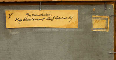  / Zelné pole / Hugo Charlemont