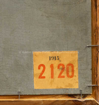  / Zelné pole / Hugo Charlemont