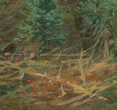  / Lesní interiér / Václav Březina