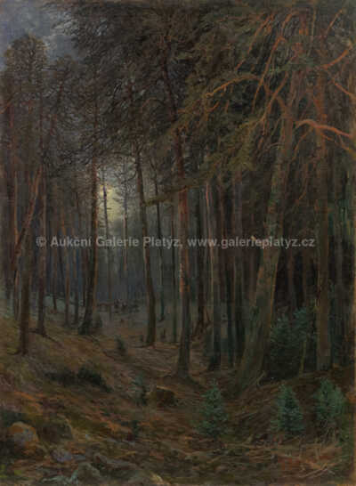  / Lesní interiér / Václav Březina