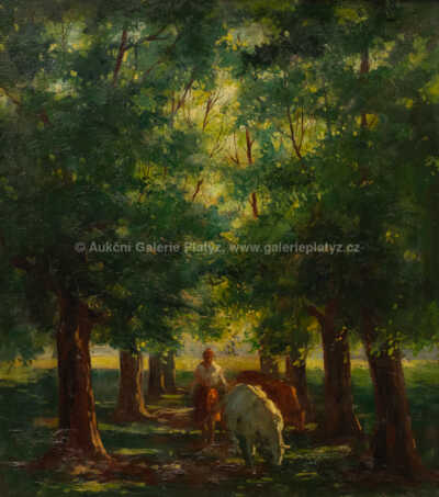  / Ve stínu / S. G.  Maran