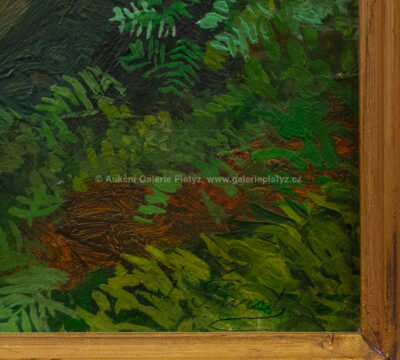  / Balvany s kapradím, Kozlov / Jindřich Fürst