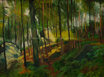  / Balvany s kapradím, Kozlov / Jindřich Fürst