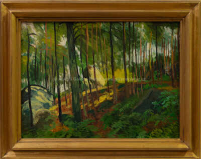 Jindřich Fürst - Balvany s kapradím, Kozlov
