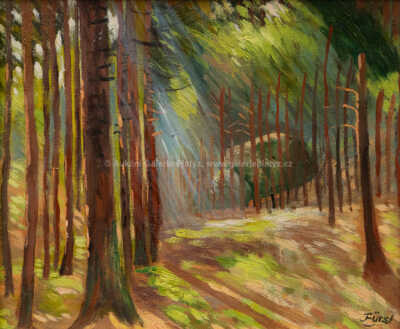  / Od pramene kořenského / Jindřich Fürst