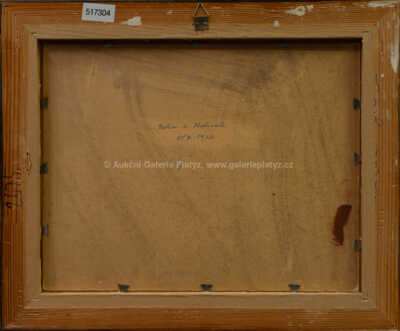  / Motiv z Hostivaře / Jindřich Fürst