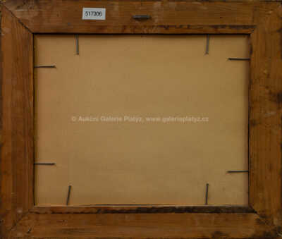  / Trosky z Hrubé Skály v zimě / Jindřich Fürst