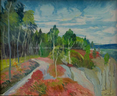  / Vřesoviště v Klokočských skalách / Jindřich Fürst