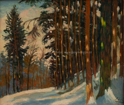  / Vesecký les v zimě / Jindřich Fürst