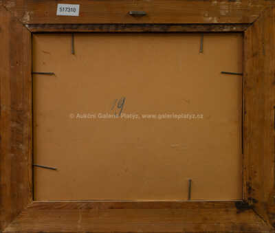  / Hrad Kost s potokem / Jindřich Fürst