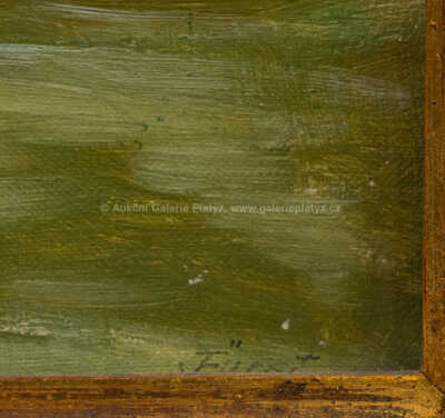  / Hrad Kost s potokem / Jindřich Fürst