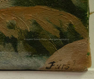  / Palackého stezka / Jindřich Fürst