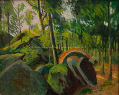  / Balvany v kozlovském lese / Jindřich Fürst