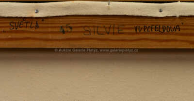  / Světla (art brut) / Silvie Vurcfeldová