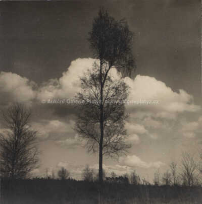  / Krajina / Josef Sudek