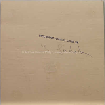  / Krajina / Josef Sudek