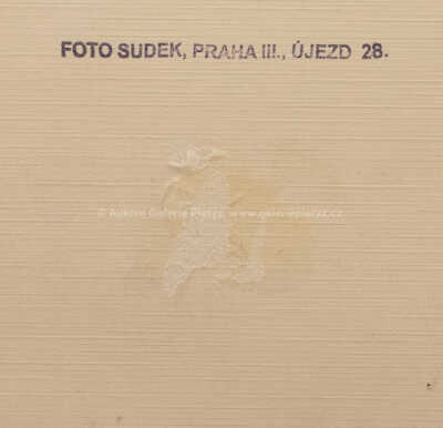  / V zimě / Josef Sudek