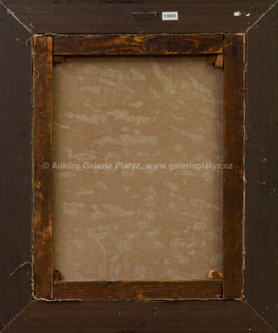  / Mokřady za chalupou / Karel Langer