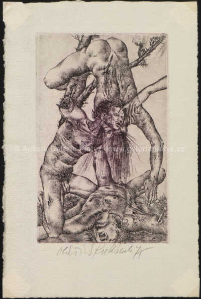  / David / Oldřich Kulhánek