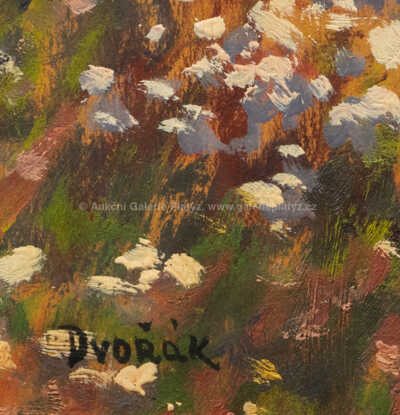  / Rozkvetlá louka / Bohuslav Dvořák