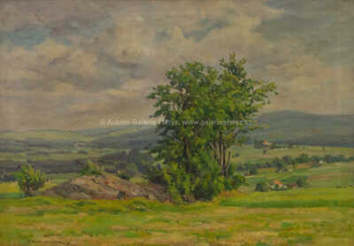  / Z Českých Křižánek / František Cína - Jelínek