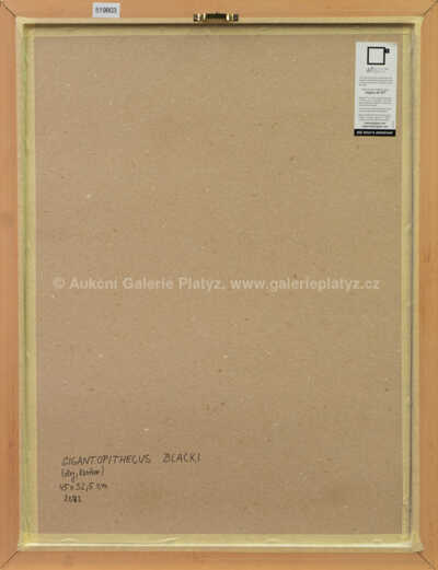  / Gigantopithecus Blacki / Petr Modlitba