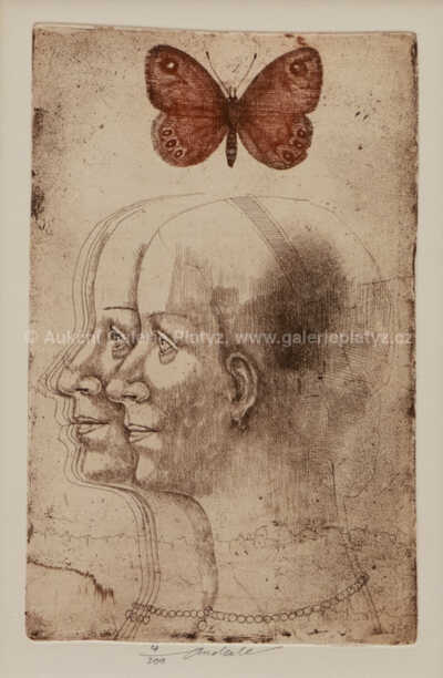  / Bez názvu / Jiří Anderle