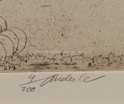  / Pomíjivost / Jiří Anderle