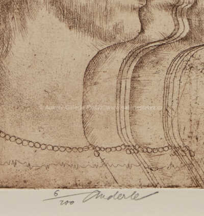  / Hlavy / Jiří Anderle