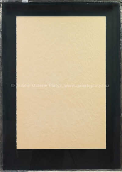  / Vanitas VIII / Jiří Anderle