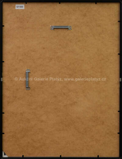  / Jan Zrzavý / Iva Hüttnerová