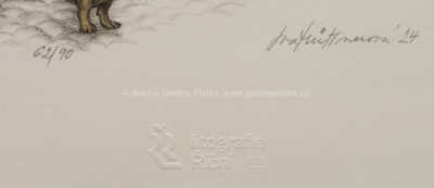  / Trafika / Iva Hüttnerová