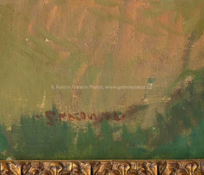  / Blaník - Neustupov / Gustav Macoun