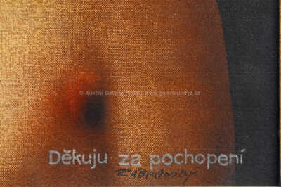  / Děkuji za pochopení / Vlastimil Zábranský