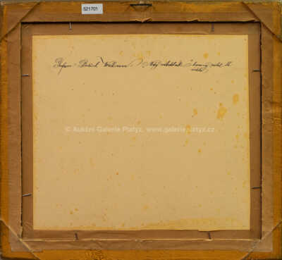  / Modrý náhrdelník / Bedřich Wachsmann