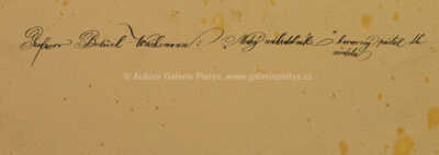  / Modrý náhrdelník / Bedřich Wachsmann